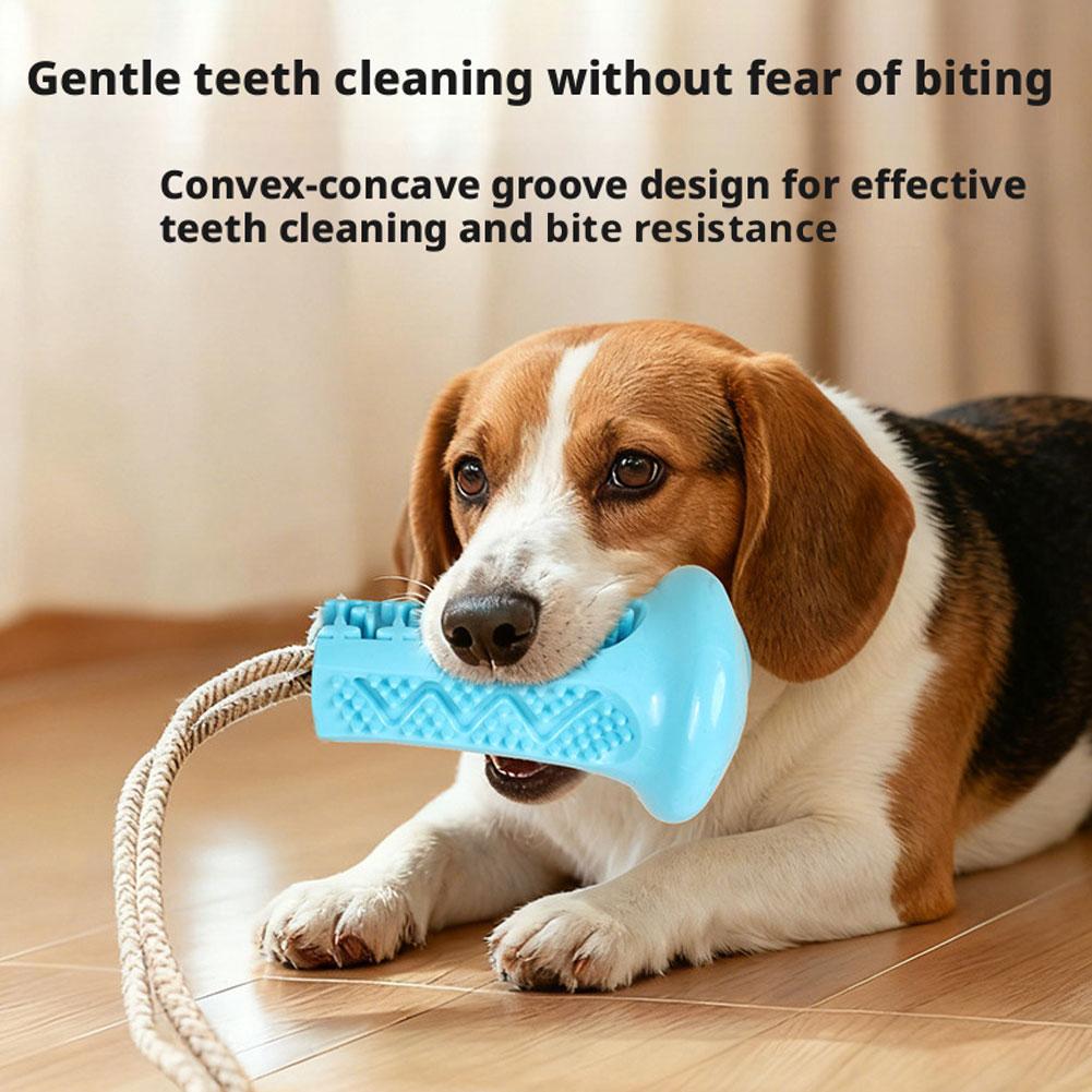 Suction Cup Dog Chew Toy Inter - огляд і ціна Suction Cup Dog Tug Toy