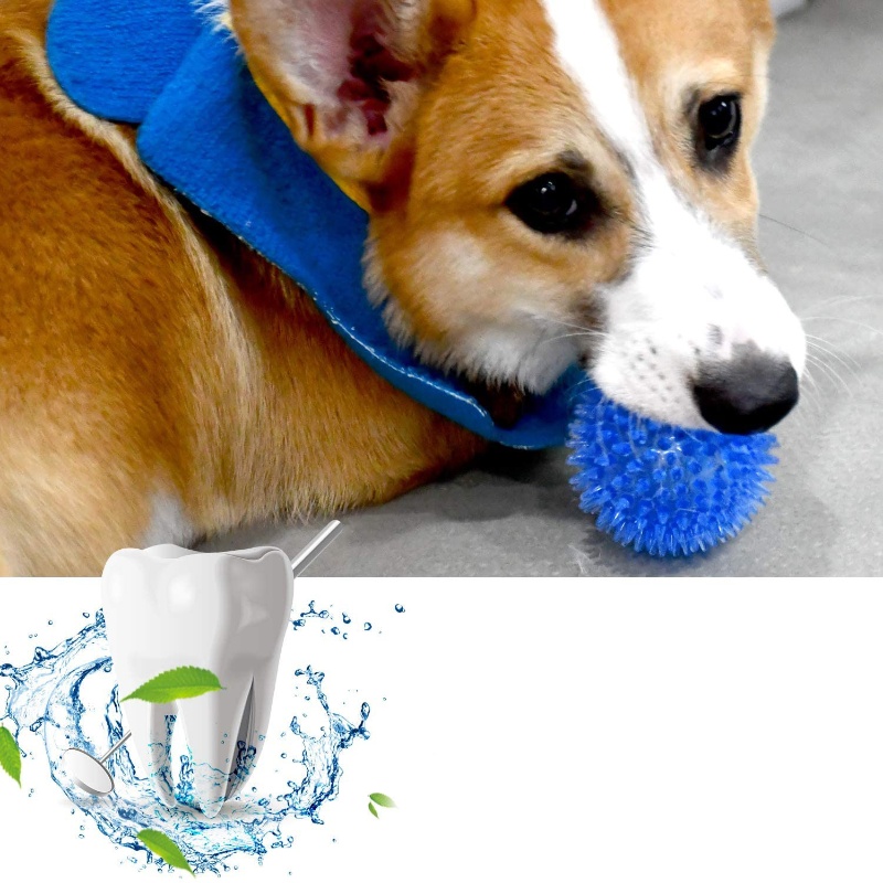 Pet Toy Ball for Cats And Dogs - огляд і ціна Indestructible Dog Chew Toy