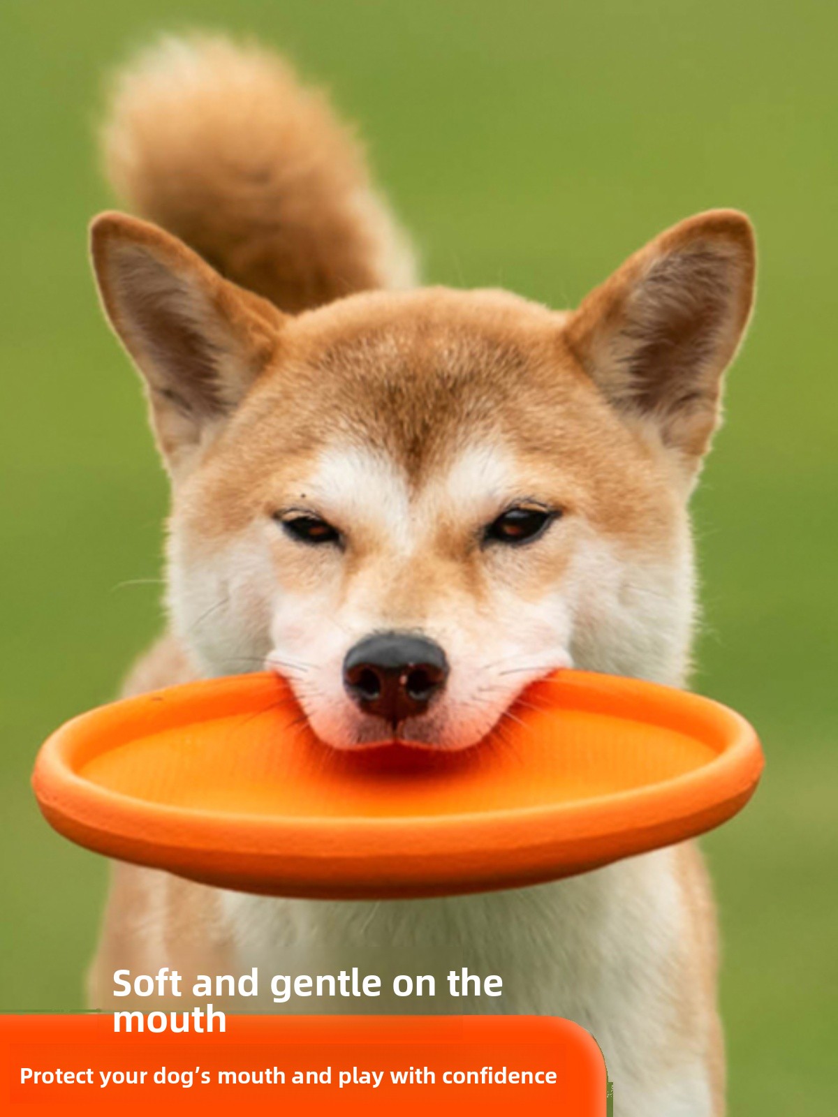 Dog Flying Disc Soft Durable B - огляд і ціна Flying Disc Dog Training Toy