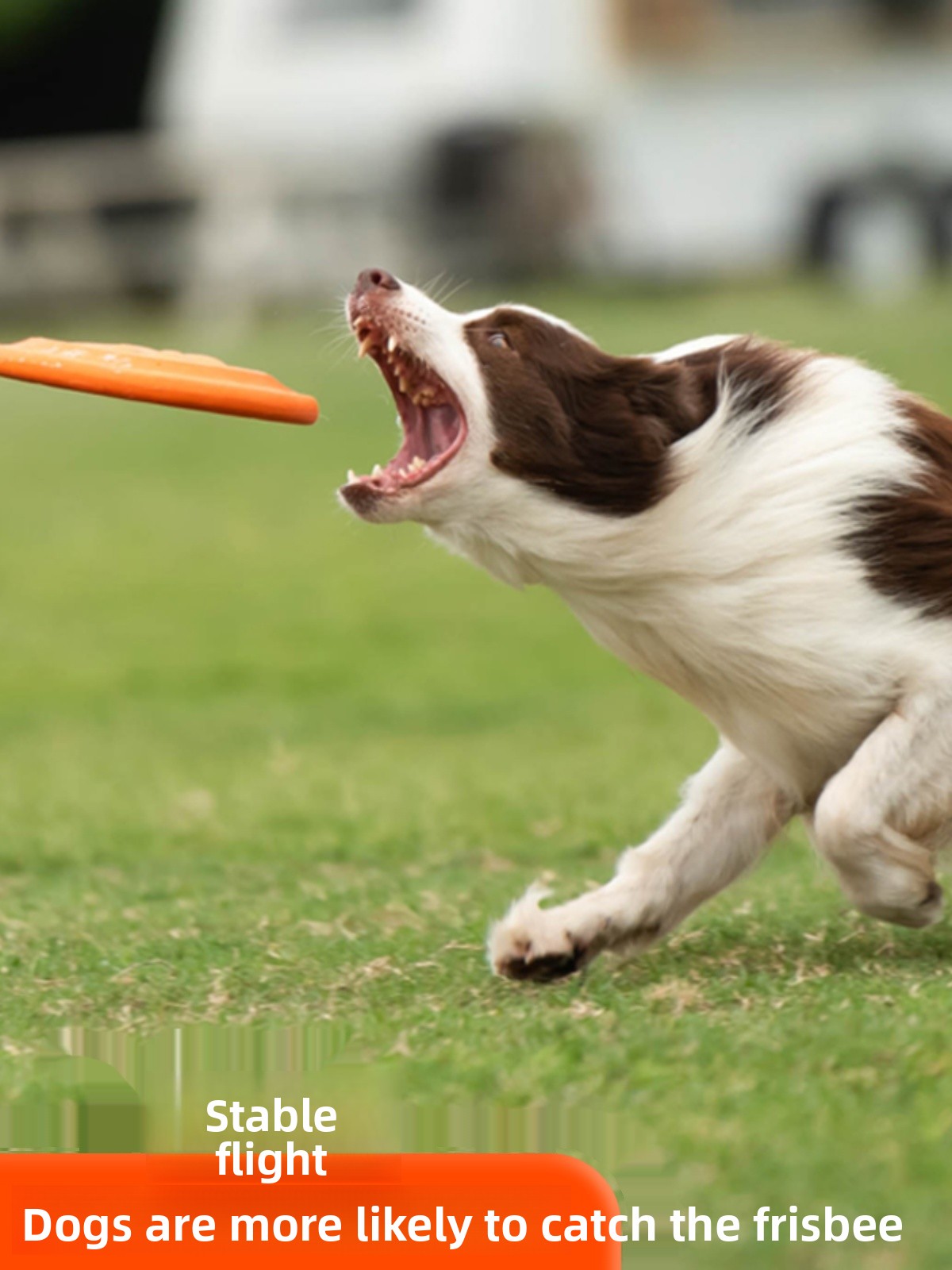 Dog Flying Disc Soft Durable B - огляд і ціна Flying Disc Dog Training Toy