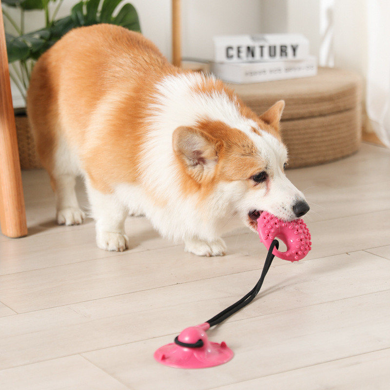 Dog Toys Silicon Suction Cup T - огляд і ціна Suction Cup Dog Tug Toy