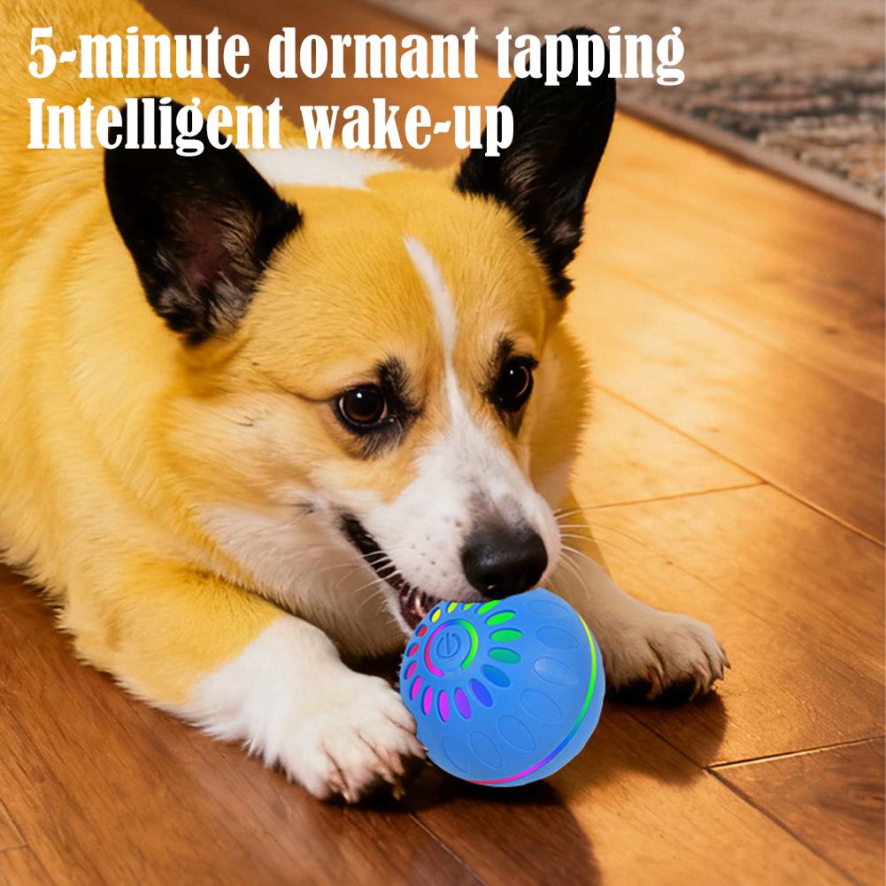 Smart Dog Toy Ball Automatic I - огляд і ціна Automatic Moving Dog Ball