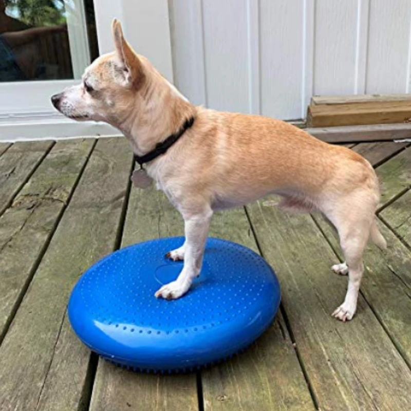 Dogs Training Aids Balance Fly - огляд і ціна Flying Disc Dog Training Toy