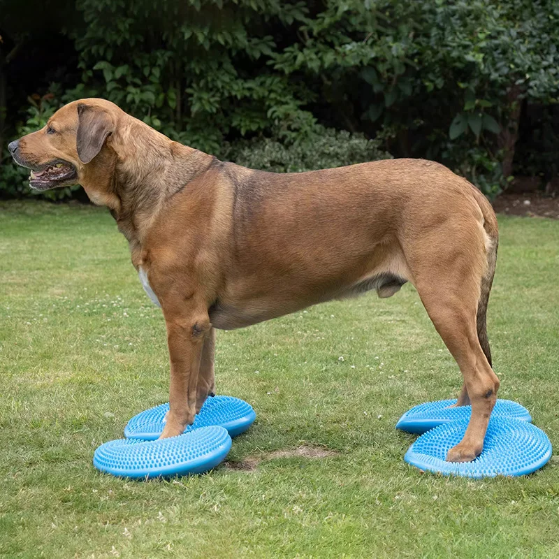 Dogs Training Aids Balance Fly - огляд і ціна Flying Disc Dog Training Toy