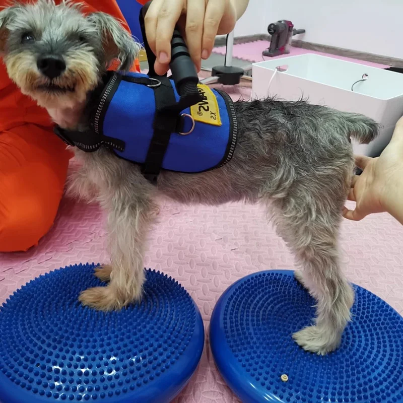Dogs Training Aids Balance Fly - огляд і ціна Flying Disc Dog Training Toy