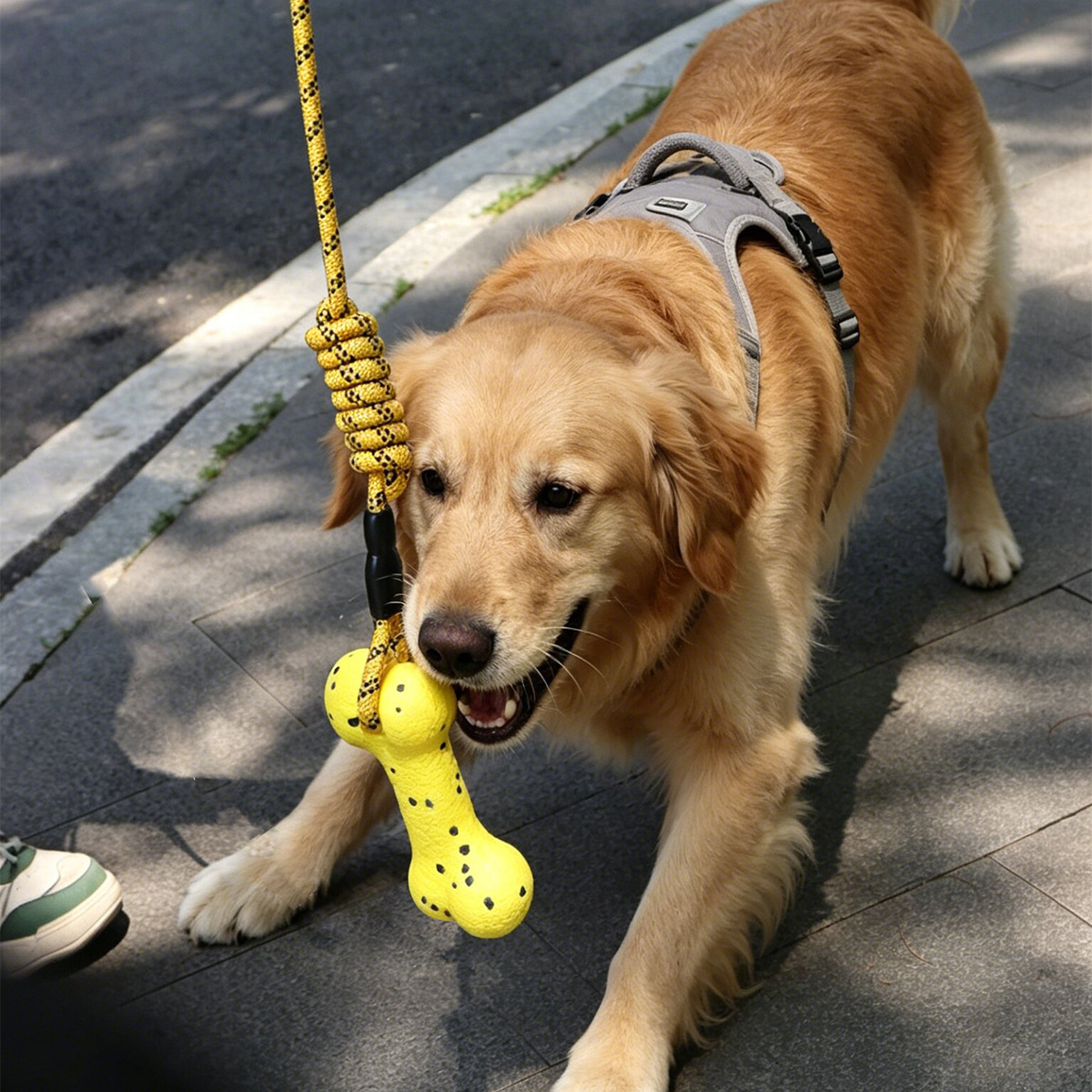 Heavy Duty Dog Tug Rope Toy ET - огляд і ціна Dog Rope Toy Aggressive Chewers