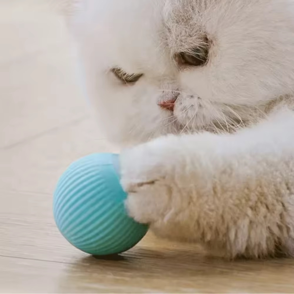 Automatic Moving Ball for Dog  - огляд і ціна Automatic Moving Dog Ball