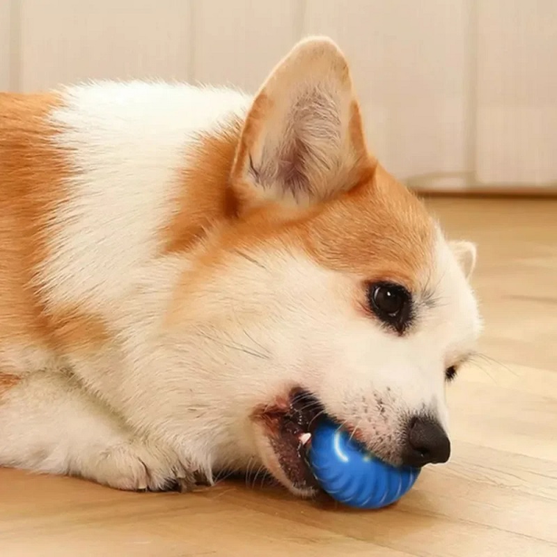 Dog Toy Ball Automatic Moving  - огляд і ціна Automatic Moving Dog Ball