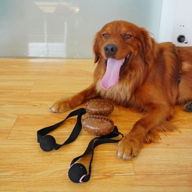 12PD Rope Coffee Bean Dog Chew - огляд і ціна Dog Rope Toy Aggressive Chewers