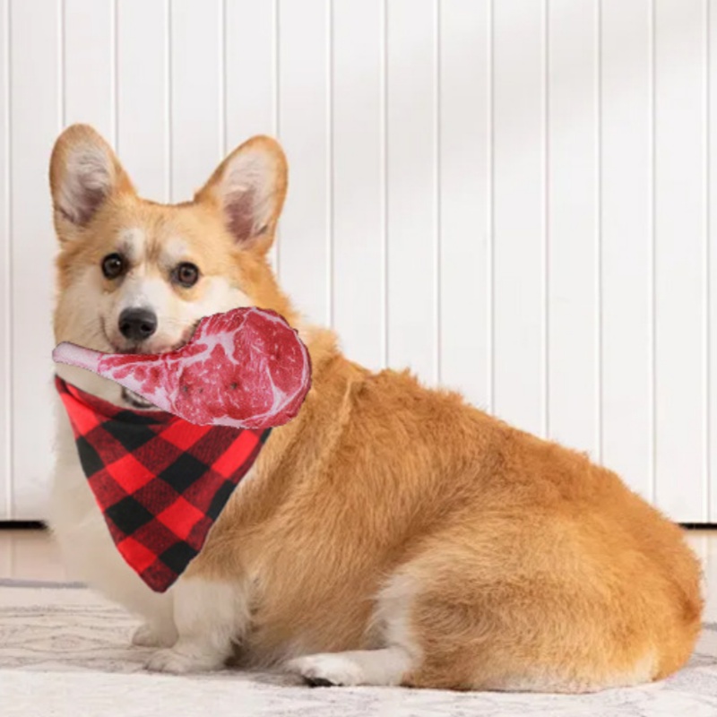 Simulated Steak Squeaky Dog To - огляд і ціна Teeth Cleaning Dog Chew Bone