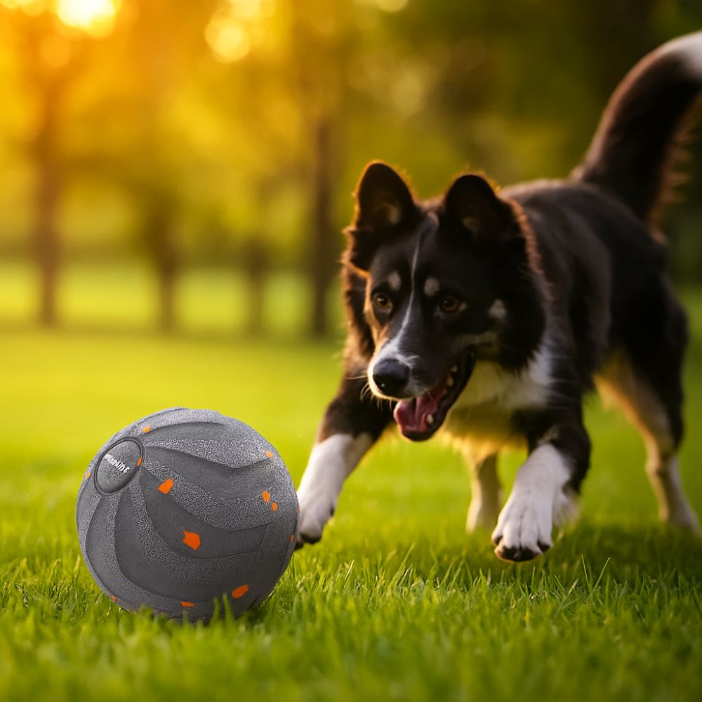 Bite Resistant Smart Dog Toy B - огляд і ціна Automatic Moving Dog Ball