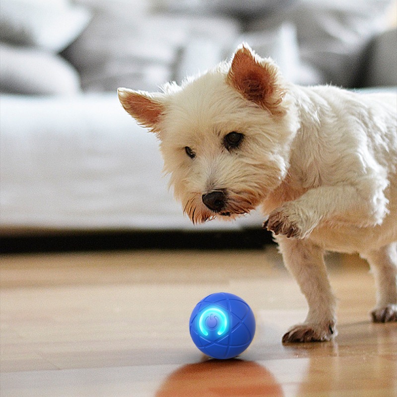 Smart Dog Toy Ball USB Automat - огляд і ціна Automatic Moving Dog Ball