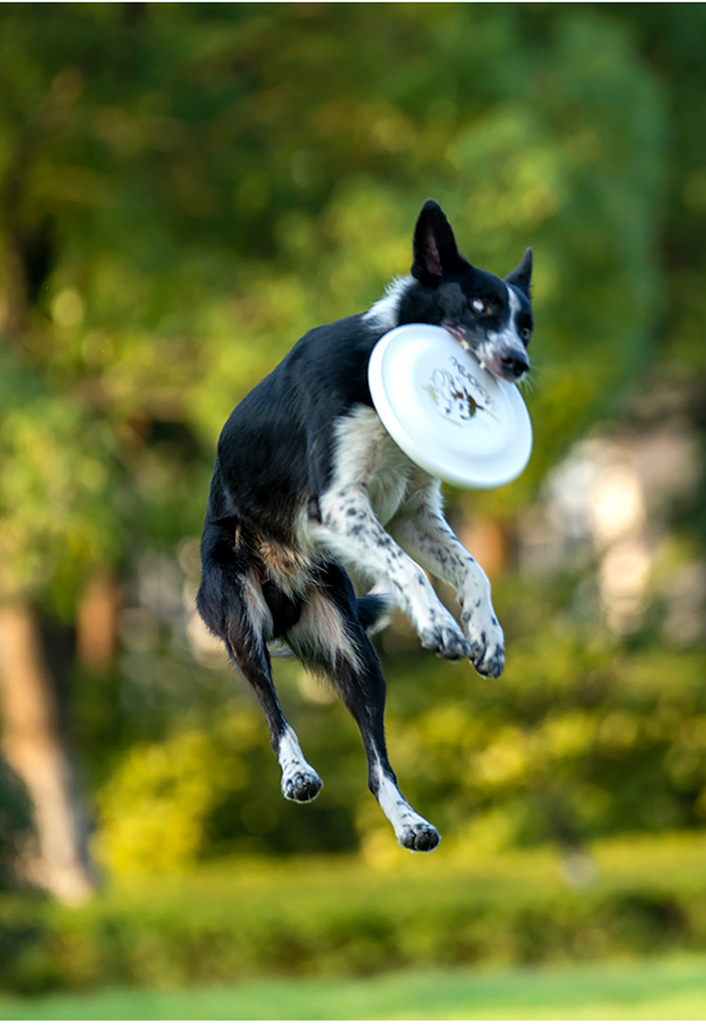 OUZEY Bite Resistant Pet Train - огляд і ціна Flying Disc Dog Training Toy