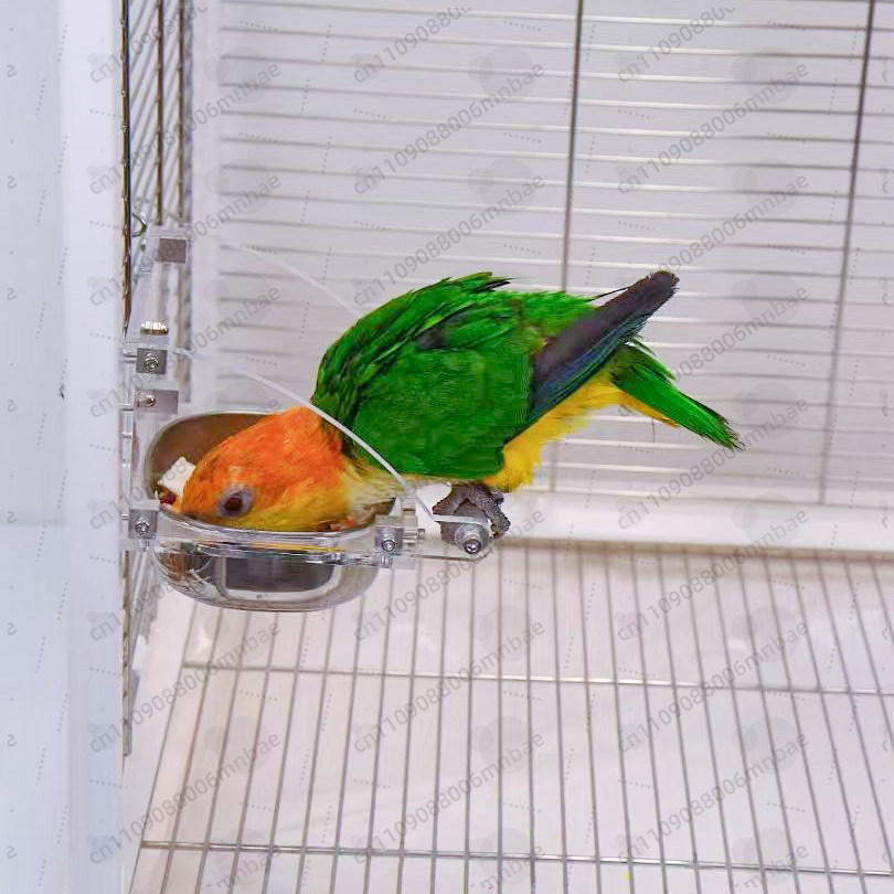 Parrot food box stainless stee - огляд і ціна Pet Feeders