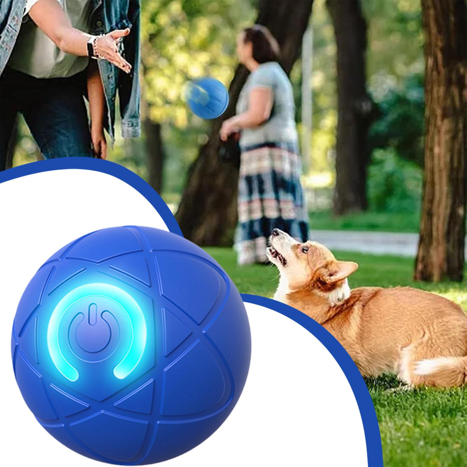 Smart Dog Toys Ball Electronic - огляд і ціна Automatic Moving Dog Ball