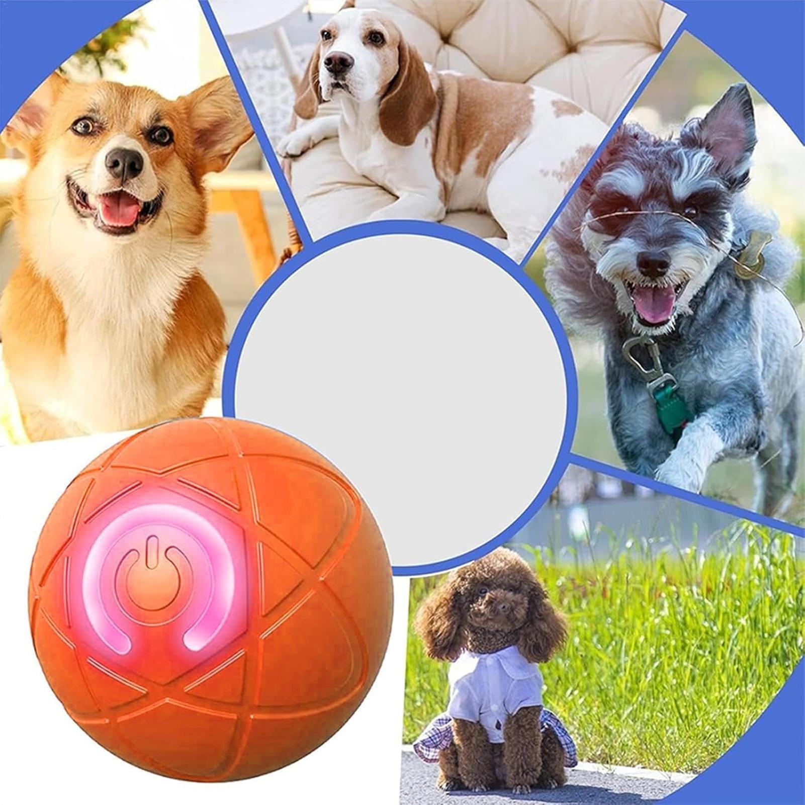 Smart Dog Toys Ball Electronic - огляд і ціна Automatic Moving Dog Ball