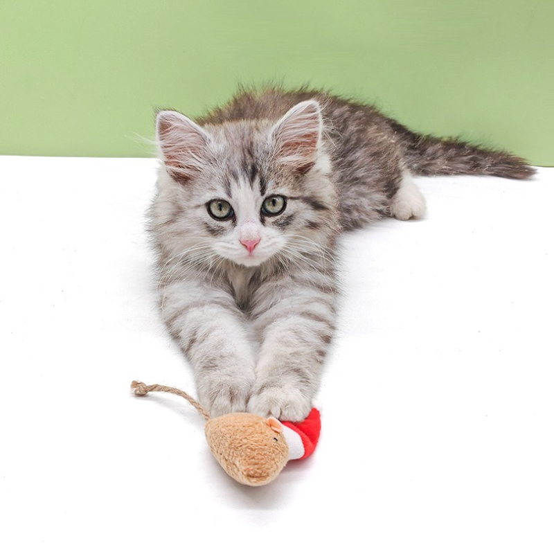 5pcs Cat Push Chew Toy Catnip  - огляд і ціна Catnip Interactive Plush Mouse