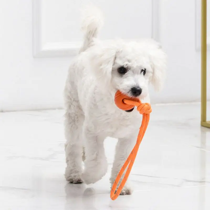 Dog Training Ball on Rope Cott - огляд і ціна Suction Cup Dog Tug Toy