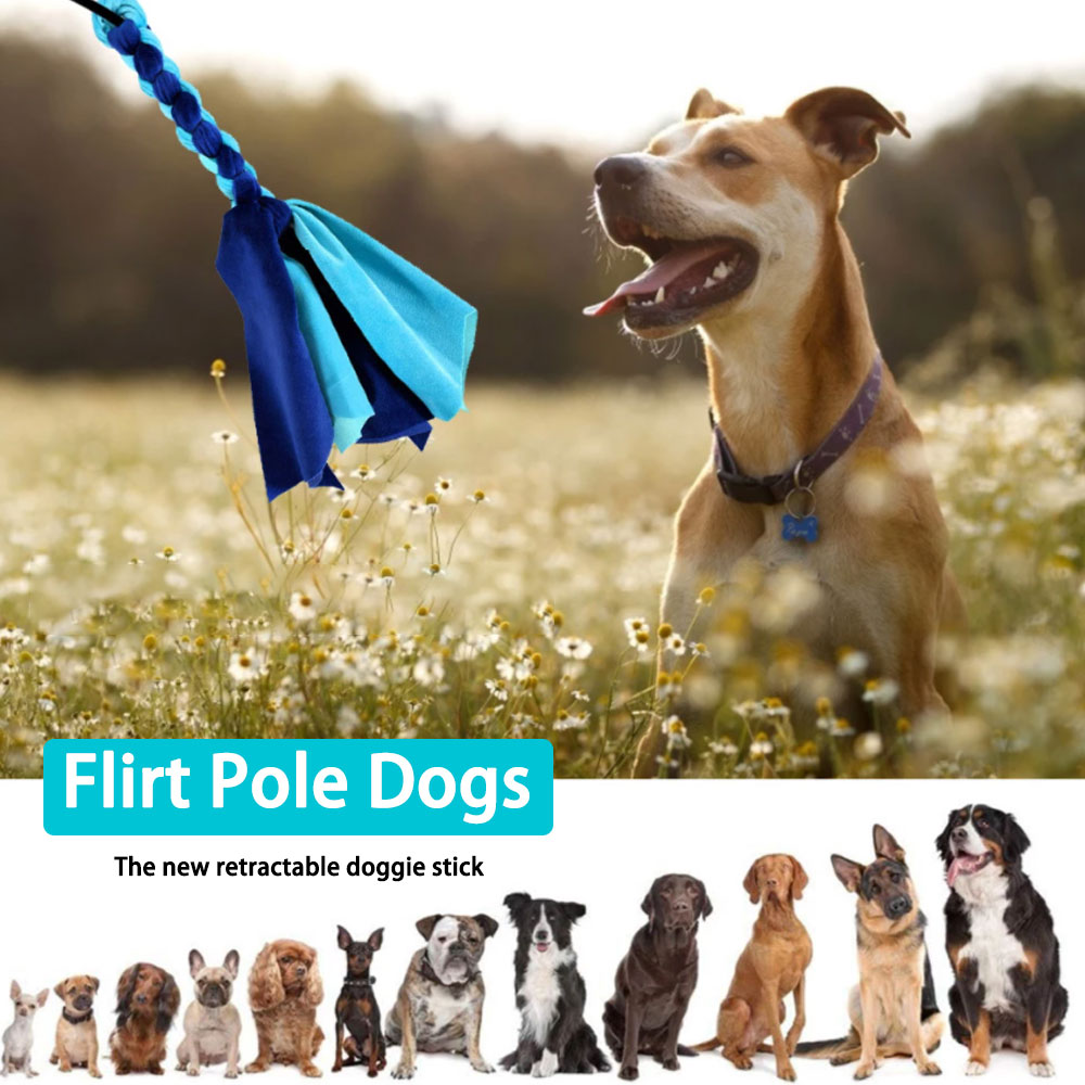 Retractable Dog Stick Interact - огляд і ціна Indestructible Dog Chew Toy