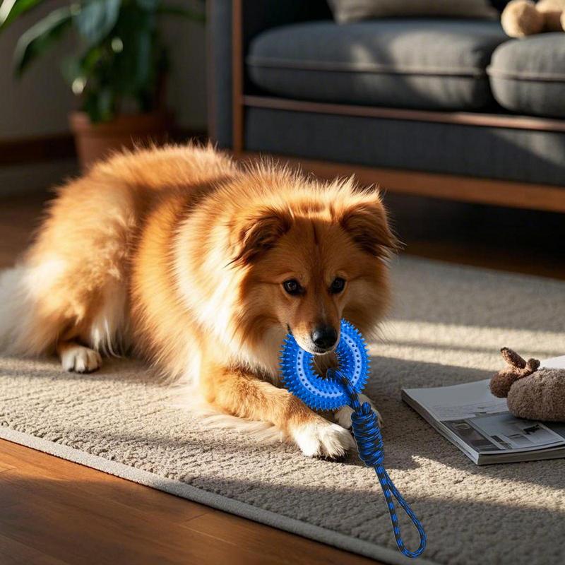 Squeaky Toys For Dogs Spiky Ri - огляд і ціна Dog Rope Toy Aggressive Chewers