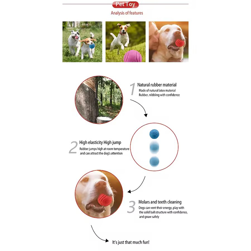 Solid Rubber Dog Bouncy Ball I - огляд і ціна Indestructible Dog Chew Toy