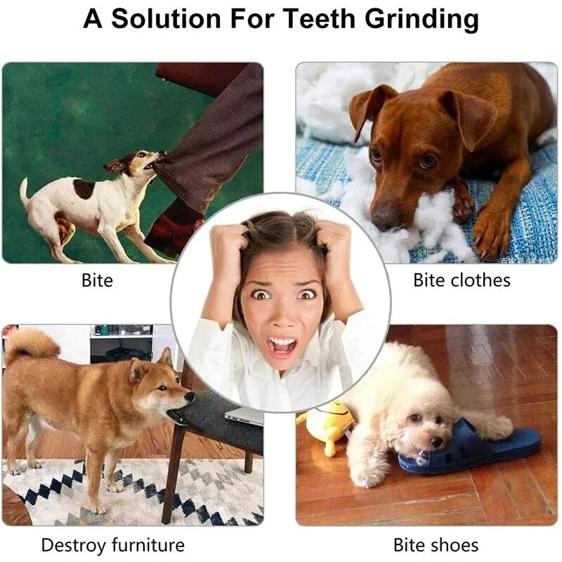 1 Pcs Dog Treat Ball Interacti - огляд і ціна Rubber Treat Dispensing Dog Toy
