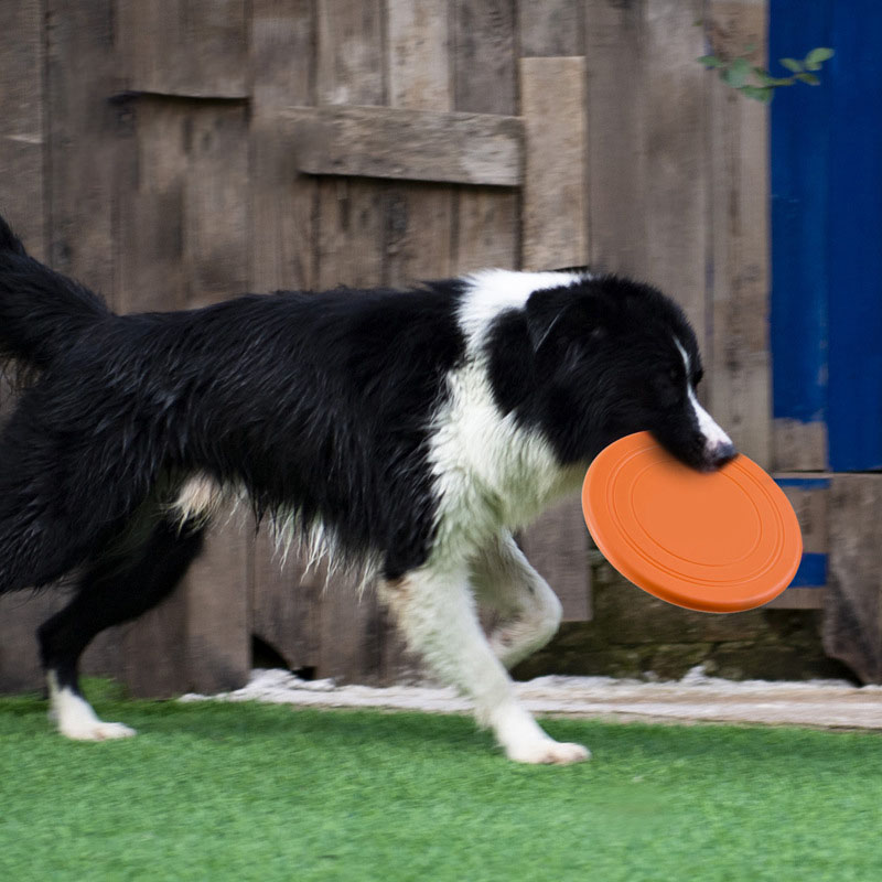 Silicone Flying Saucer Funny D - огляд і ціна Flying Disc Dog Training Toy