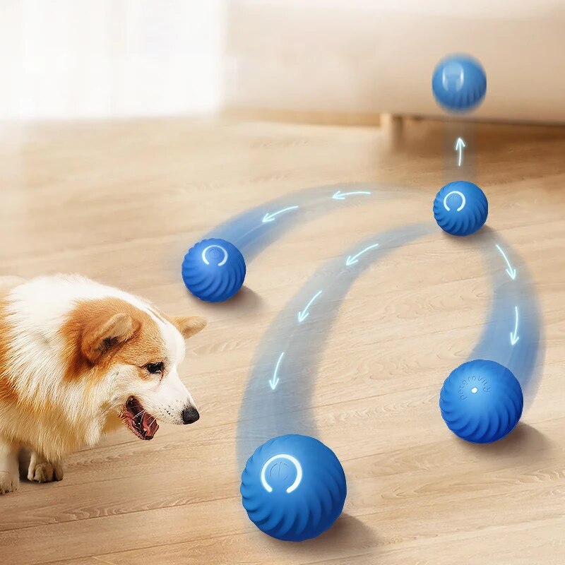 Dog Toys Intelligent Gravity J - огляд і ціна Suction Cup Dog Tug Toy