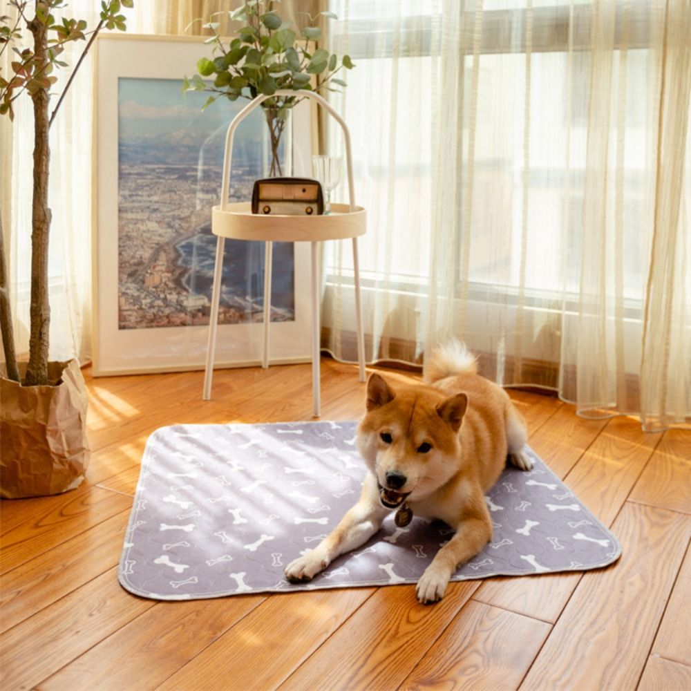 Durable Super Absorbent Pet Be - огляд і ціна Pet Beds