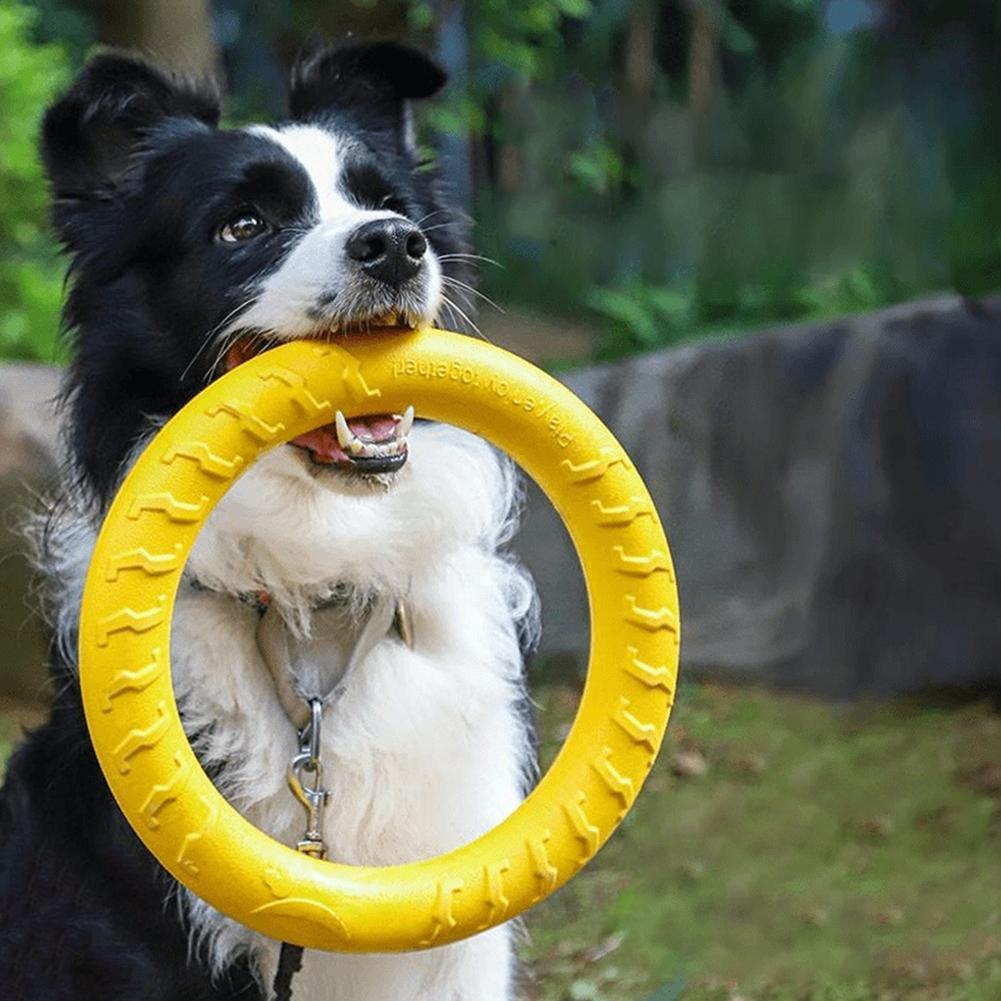 Dog Ring Toys Indestructible C - огляд і ціна Suction Cup Dog Tug Toy