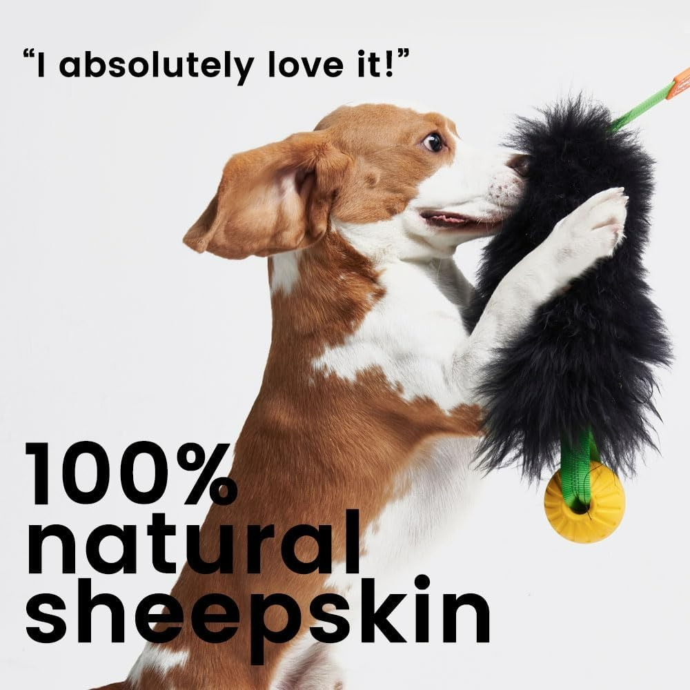 Dog Rope Toy Interactive Dog B - огляд і ціна Indestructible Dog Chew Toy